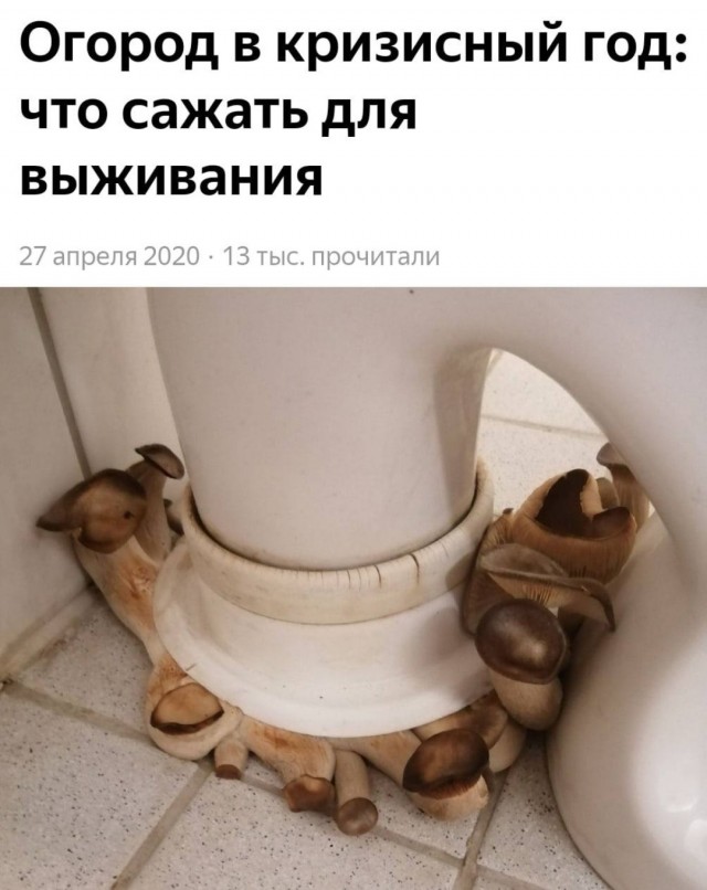 Будем посмотреть картинок