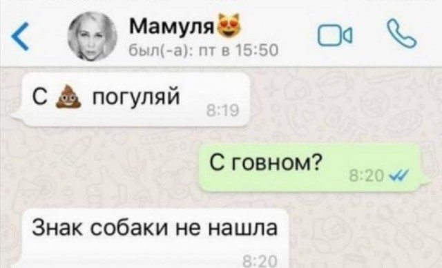 Подборка картинок из загруженного в сети