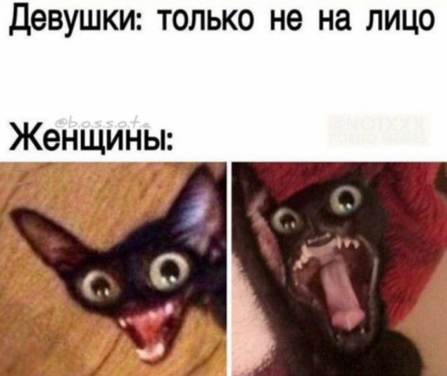 Пятница. И немного слегка пошлых картинок с надписями и без 16+ (22.04)