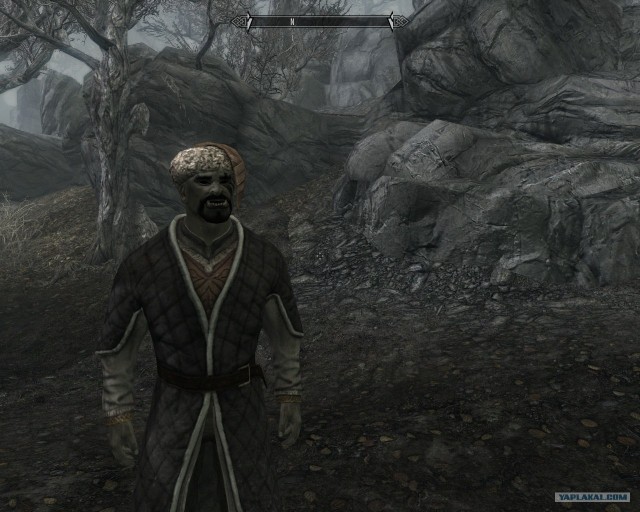 The Elder Scrolls V Skyrim