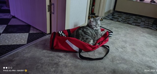 Начну котовторник чуть раньше!