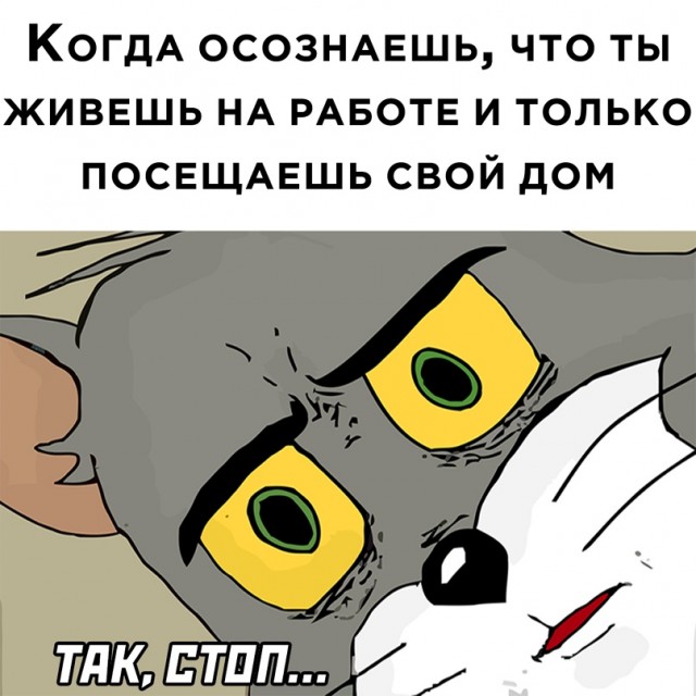 Весёлый полтишок 20.07.2022