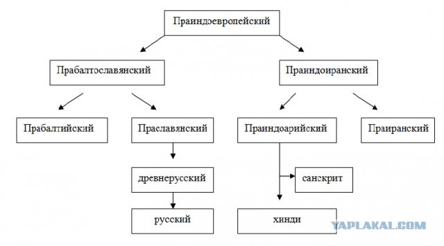 Сколько тысяч лет славянской цивилизации?