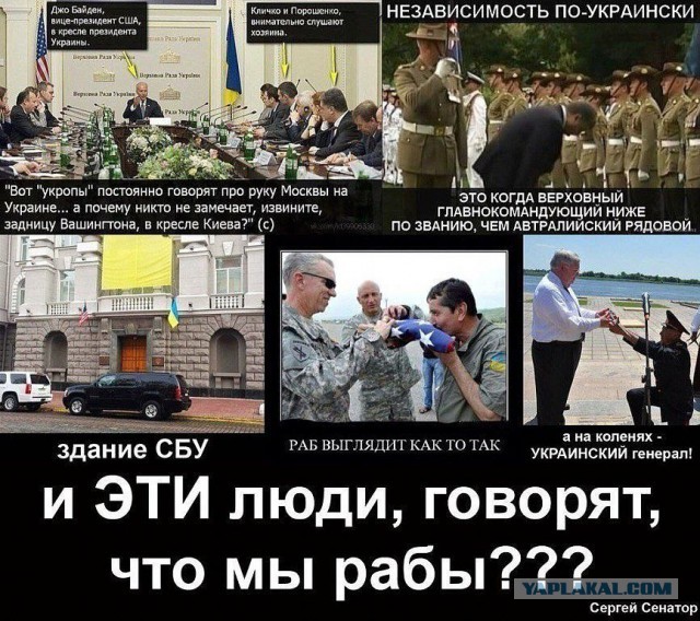 Убывци москалей! Ожидания и реальность!