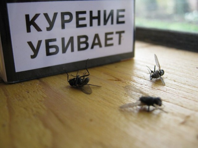 Победная поступь идиотизма по планете.
