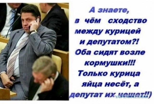 Юмор в картинках и без