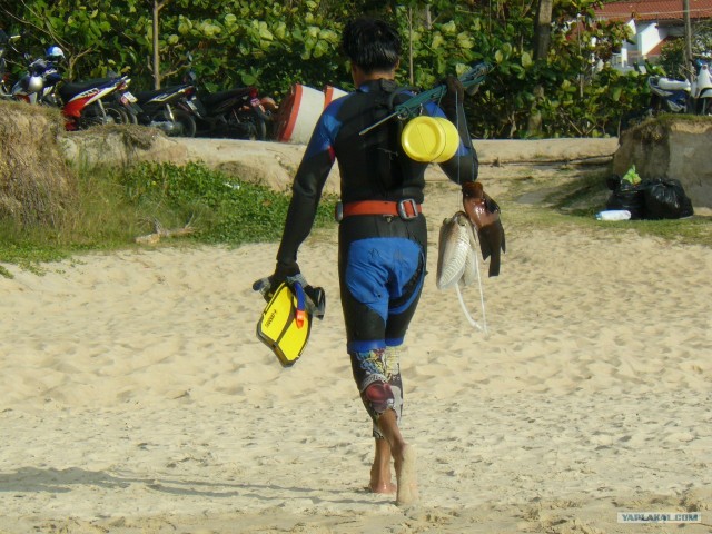 Немного Тая