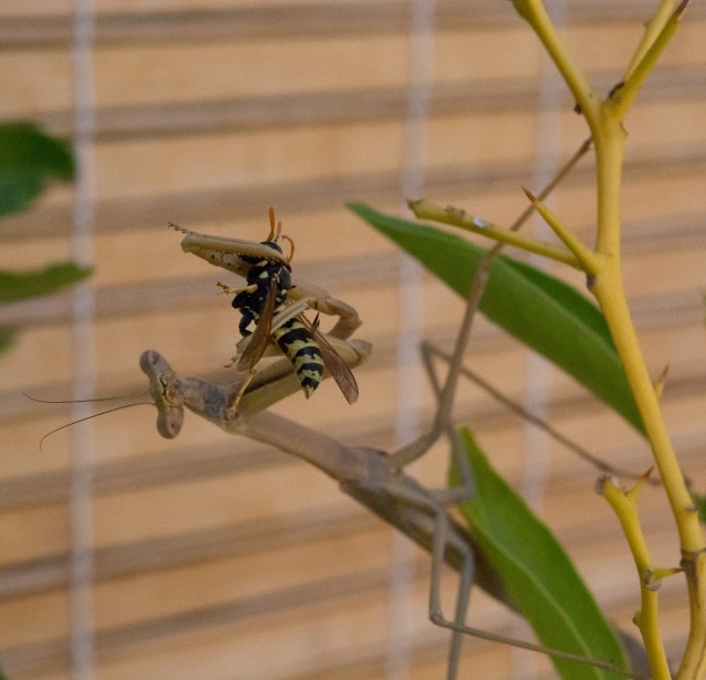 Фото, просто фото - 2