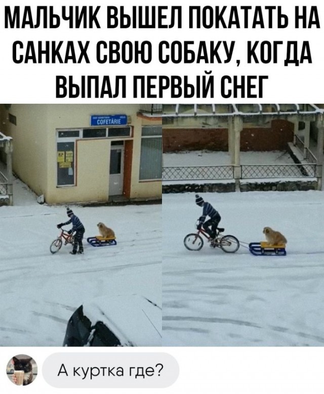 Так себе картинки 31.12.22