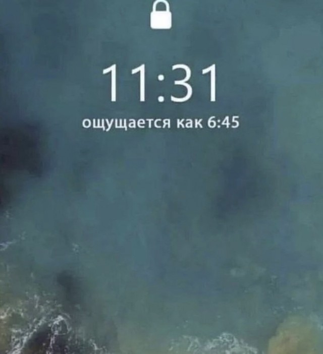 Весёлый полтишок 25.01.23