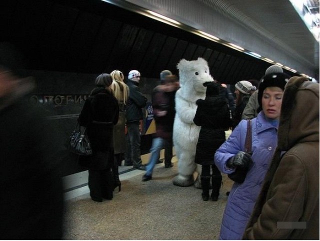 Самый хитрый пассажир московского метро