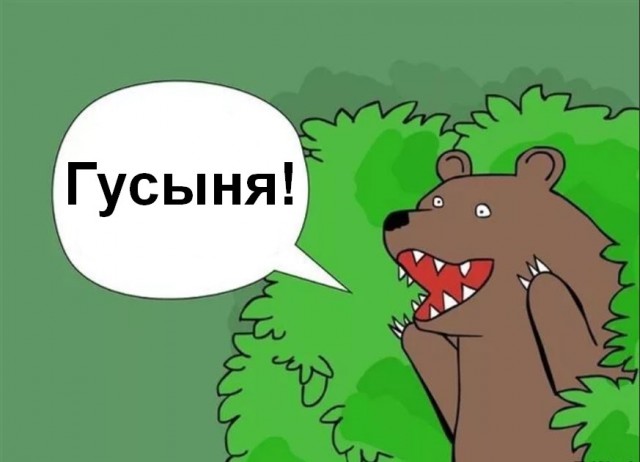 Гуси ведут весьма любопытную сексуальную жизнь