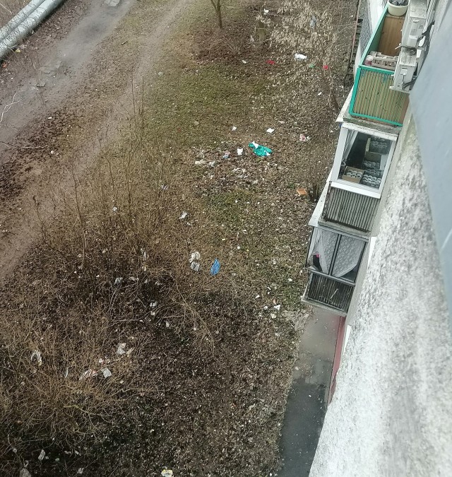 Весна покажет кто где гадил