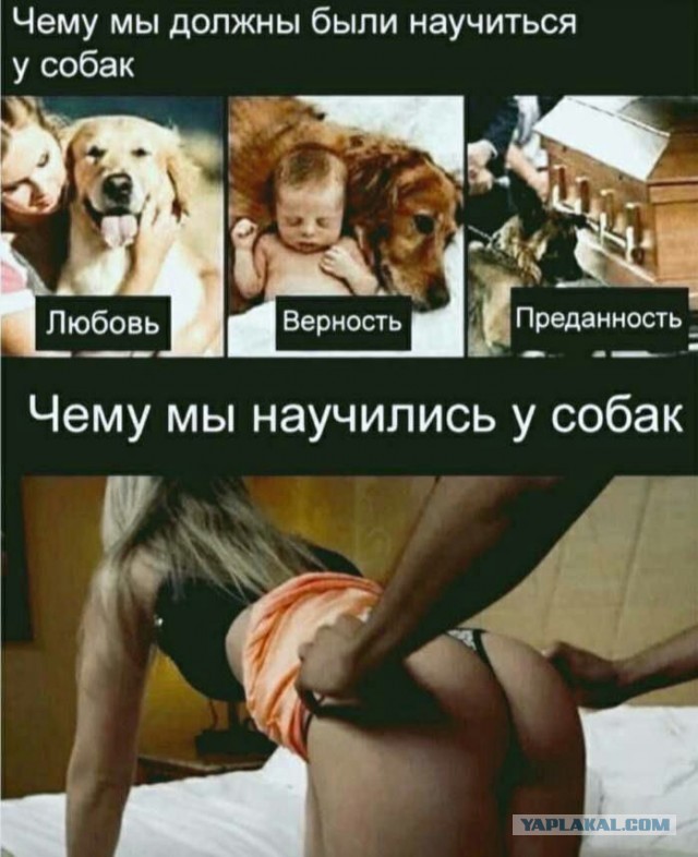 Держись, друг!