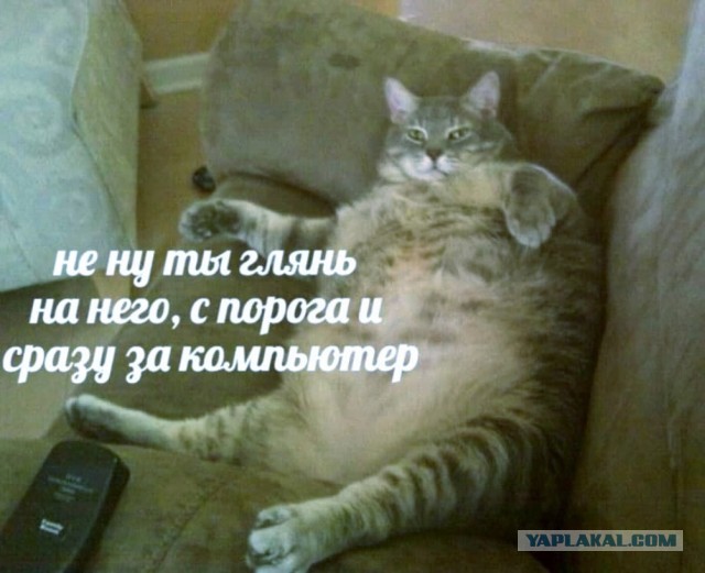 Муж и жена - одна шаурма