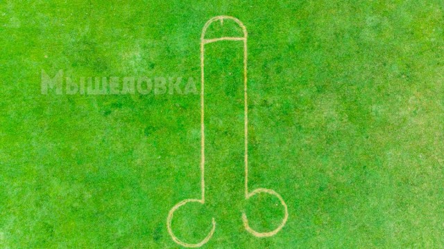 Гигантский пенис выстригли на газоне в месте празднования коронации короля Чарльза III