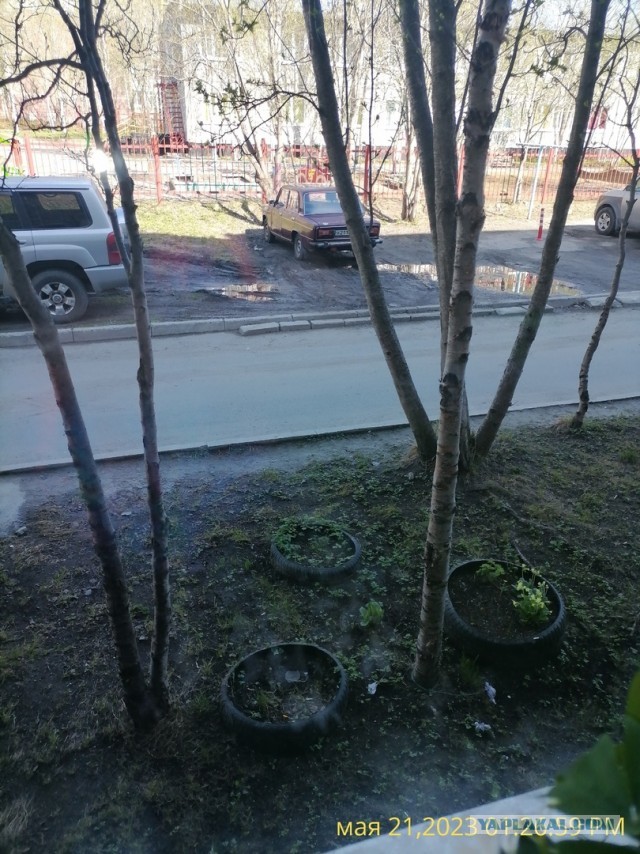 Ушло поколение нормальных женщин