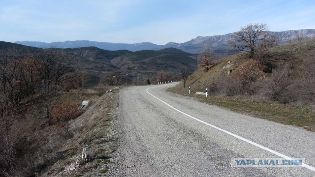 Крым в феврале или "Не стреляйте в белых лебедей!"