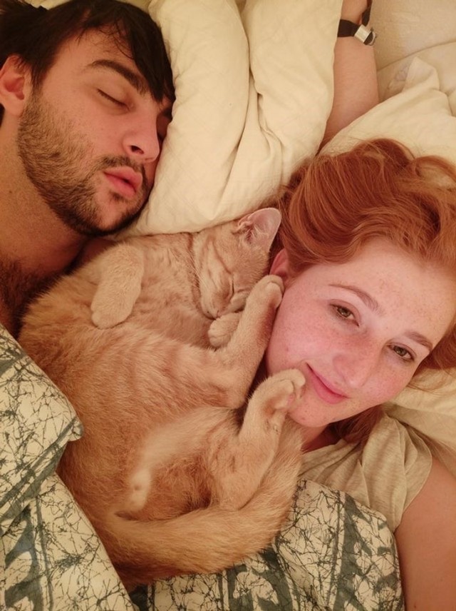 Коротко о сне с котом