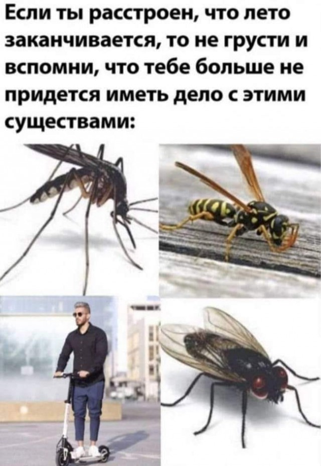 Почти 50 картинок