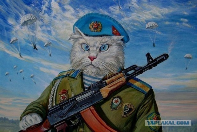 Удивительные приключения котиков в нейросети. К котовторнику