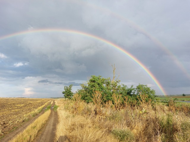 Фото с летней рыбалки