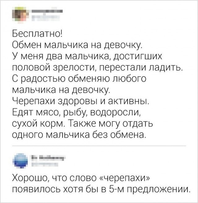 18745724.jpg