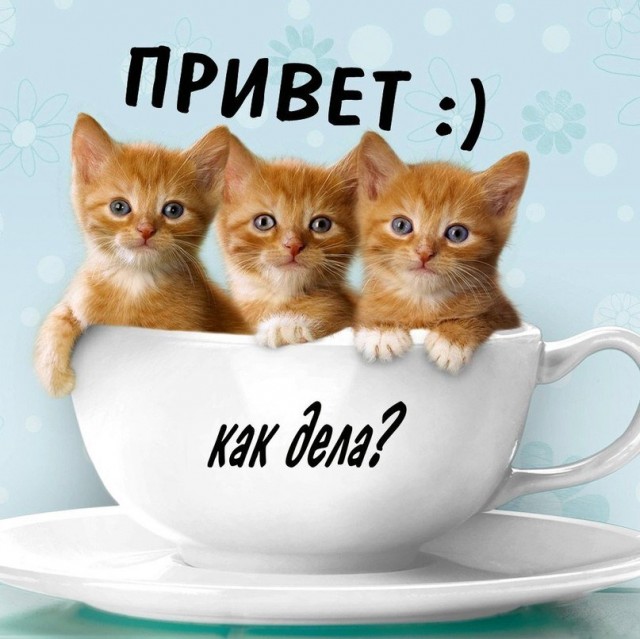 Перестал узнавать людей!