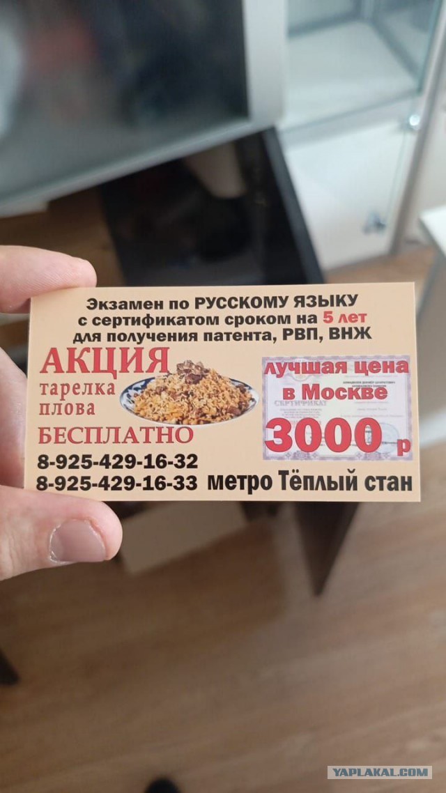 В Санкт-Петербурге заявили о намерении выгнать всех безработных мигрантов