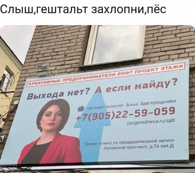Весёлый полтишок 20.05.24