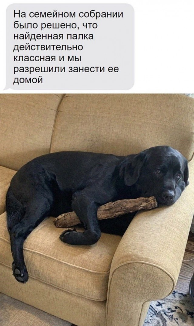Всего понемногу. От 24.06.2024