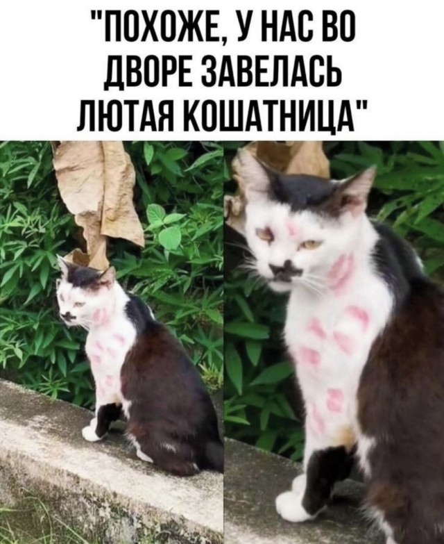 Никакие картинки и тексты