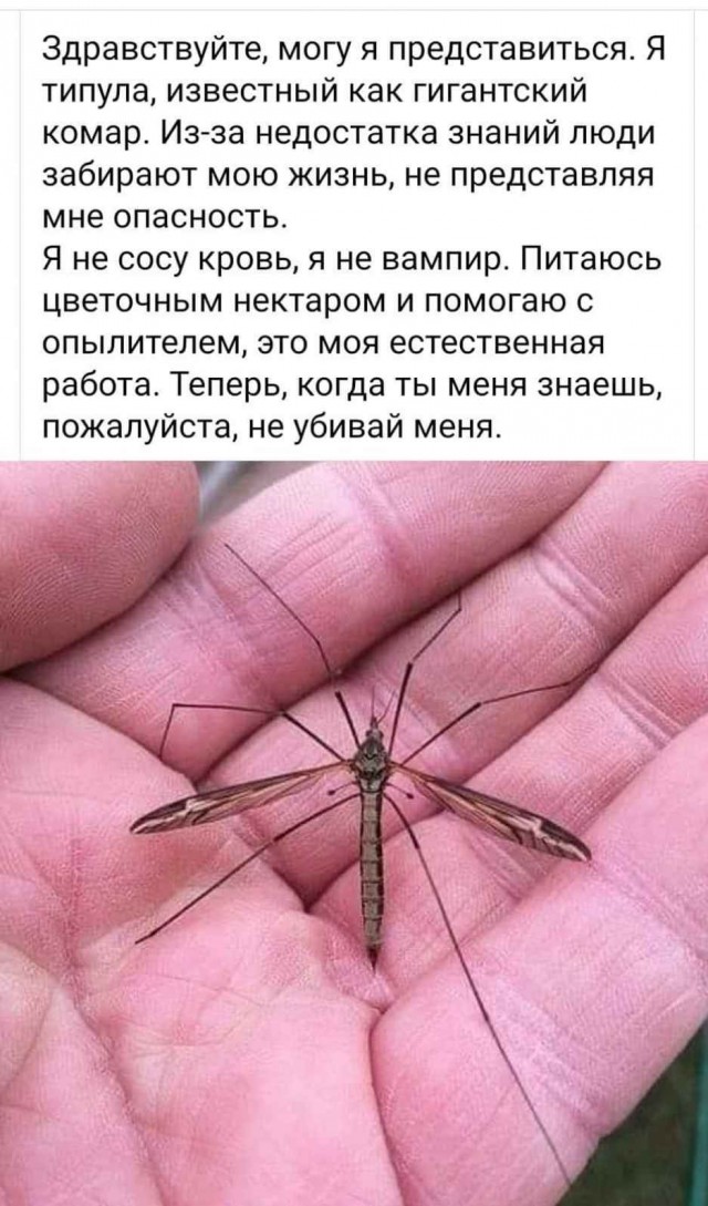 Природа и человек