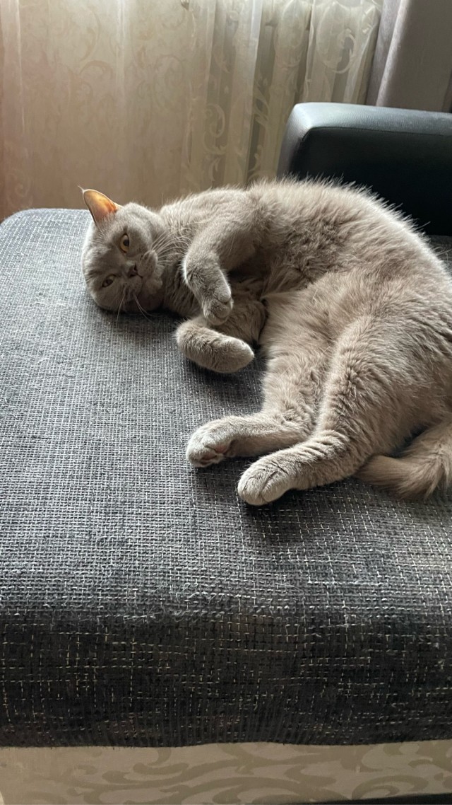 Коробочки наше фсё