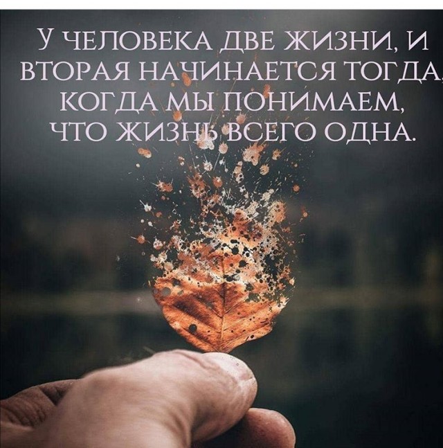 Прикольные и просто красивые картинки 08.10.2024