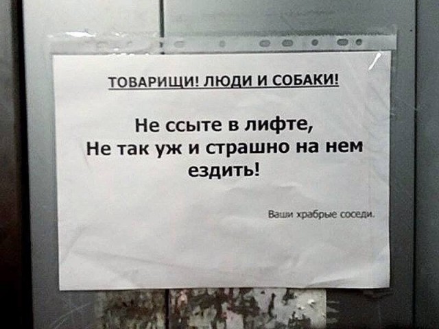 Так себе картинки 24.10.24