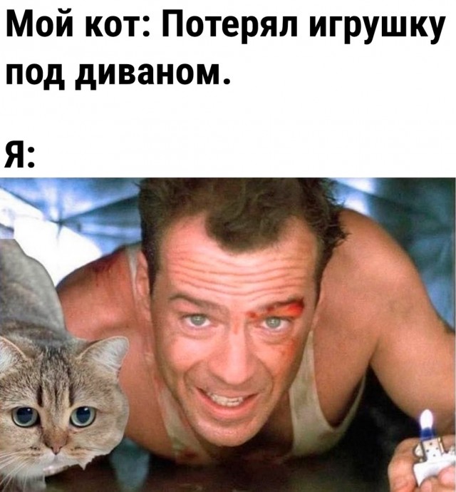 Так себе картинки 20.11.24