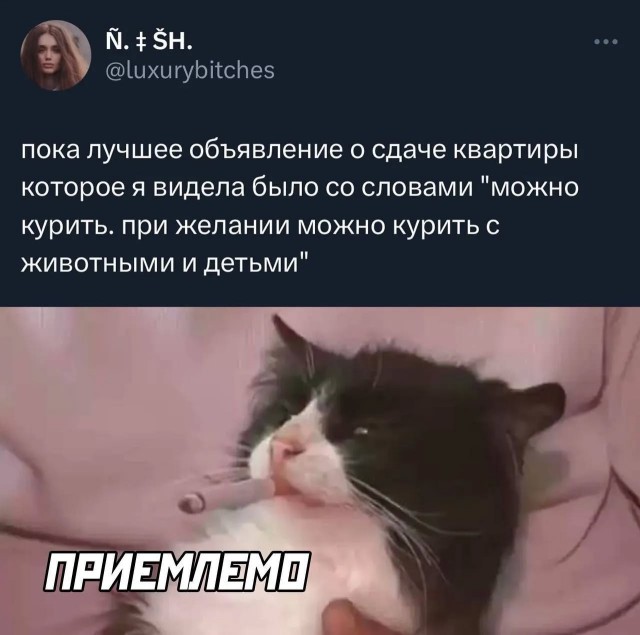 Завалялось тут случайно немного забавных картинок