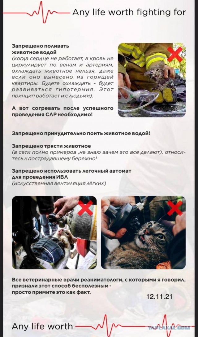 Мне кажется этот парень должен быть сегодня на главной!