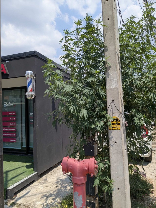 Бутан, таинственный Бутан