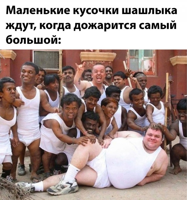 Весёлый полтишок 14.05.25.