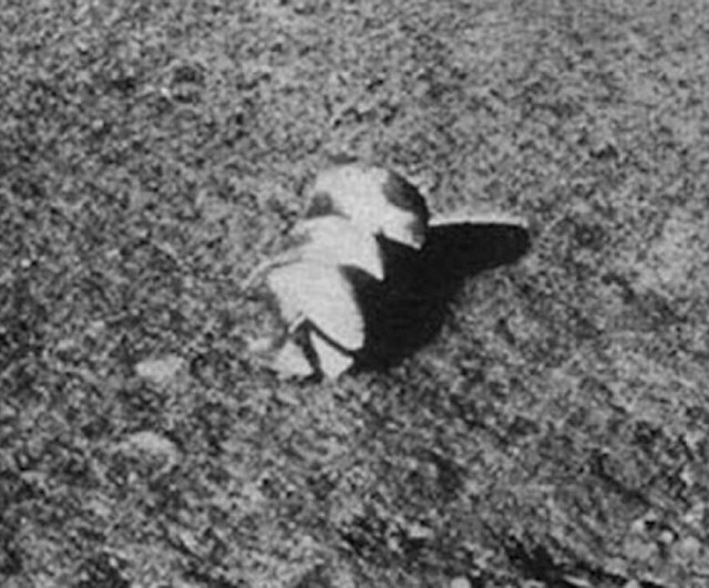 Японцы снова пытаются посадить АМС на Луну. Прямой эфир.