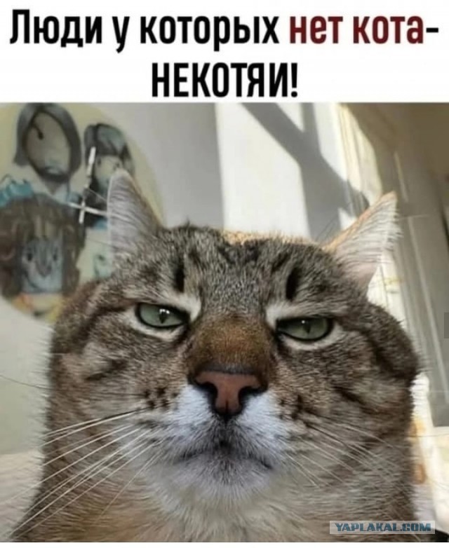 Вторник. Летние жмурки