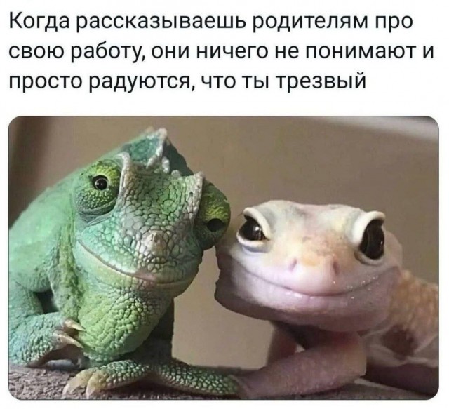 Так себе картинки 29.07.25