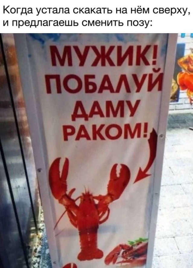 Забавные и не очень скромные картинки - 8