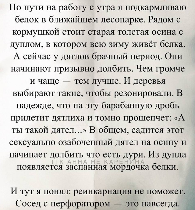 Сосед с перфоратором это навсегда