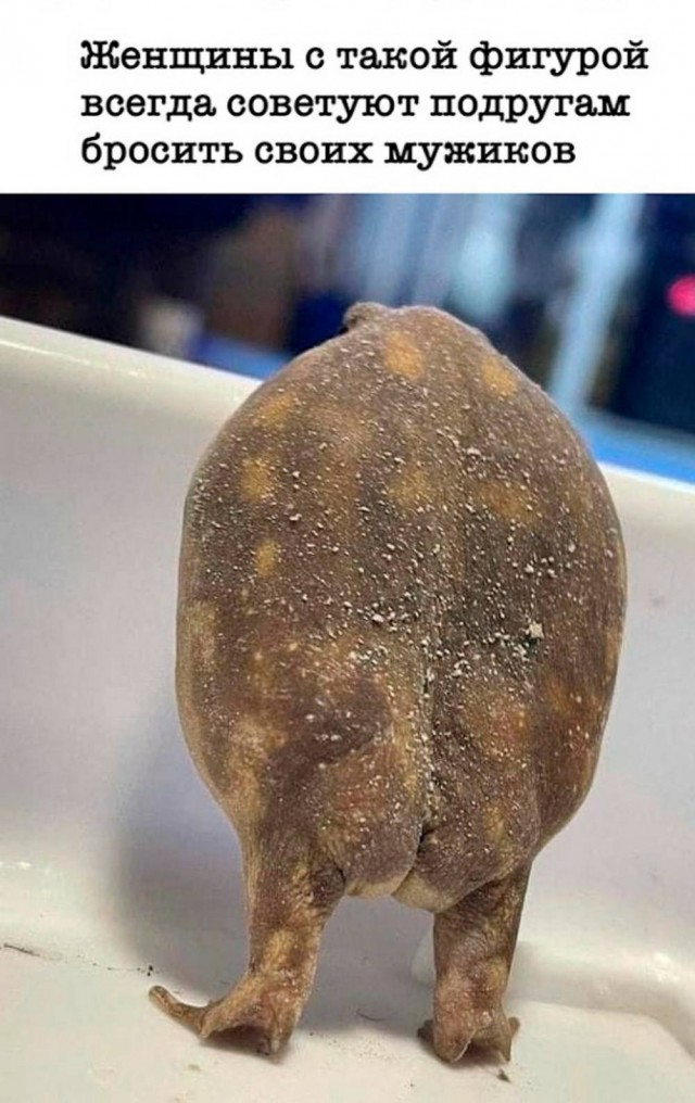 Немного картинок