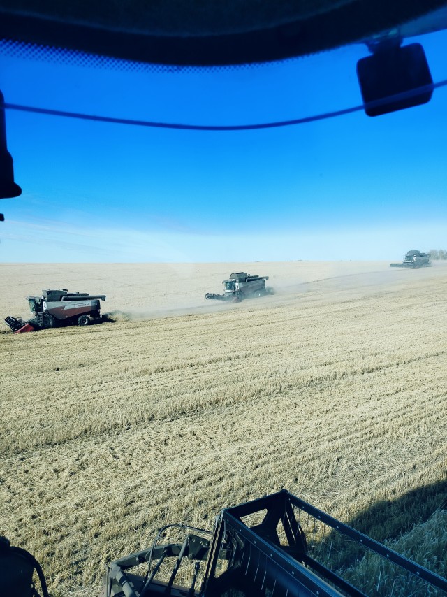 Небольшая подборка после праздника