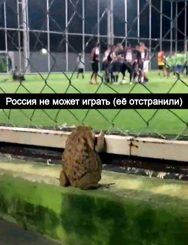 Сборная островного государства Кюрасао впервые в истории вышла в финальную часть чемпионата мира по футболу.