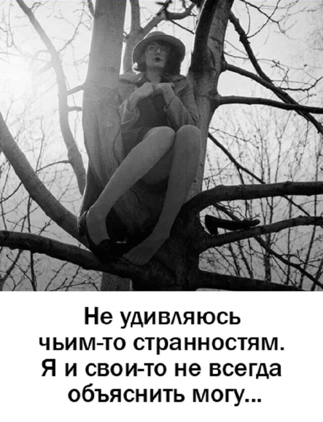 Так себе картинки 03.03.26